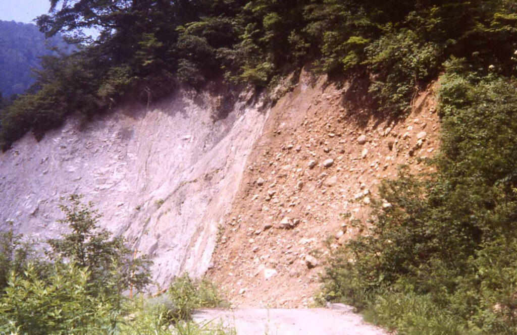 真川の跡津川断層(露頭面)